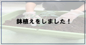 投稿についてもっと詳しく 鉢植えをしました【富士市・富士宮市放デイ】